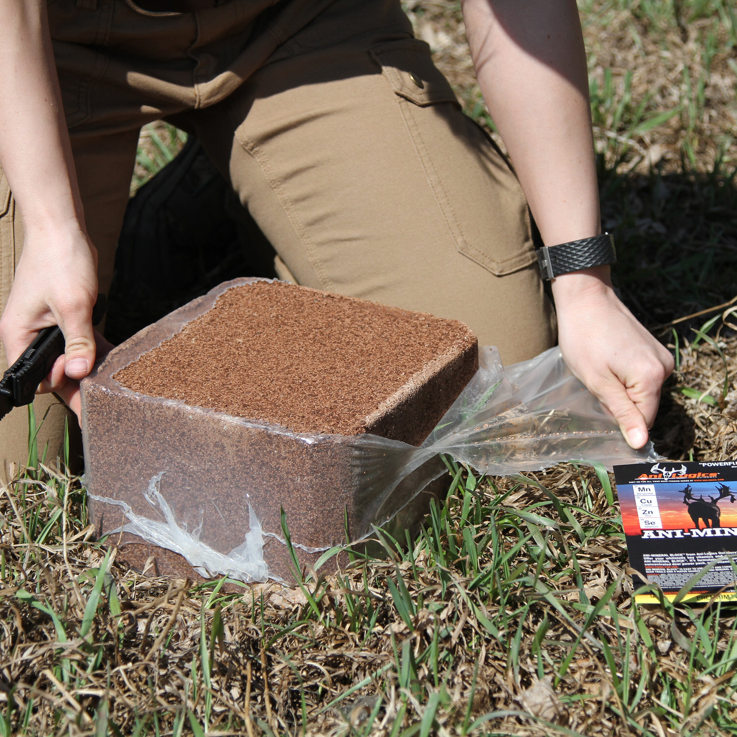 Man opening an Ani-Mineral Block on the ground