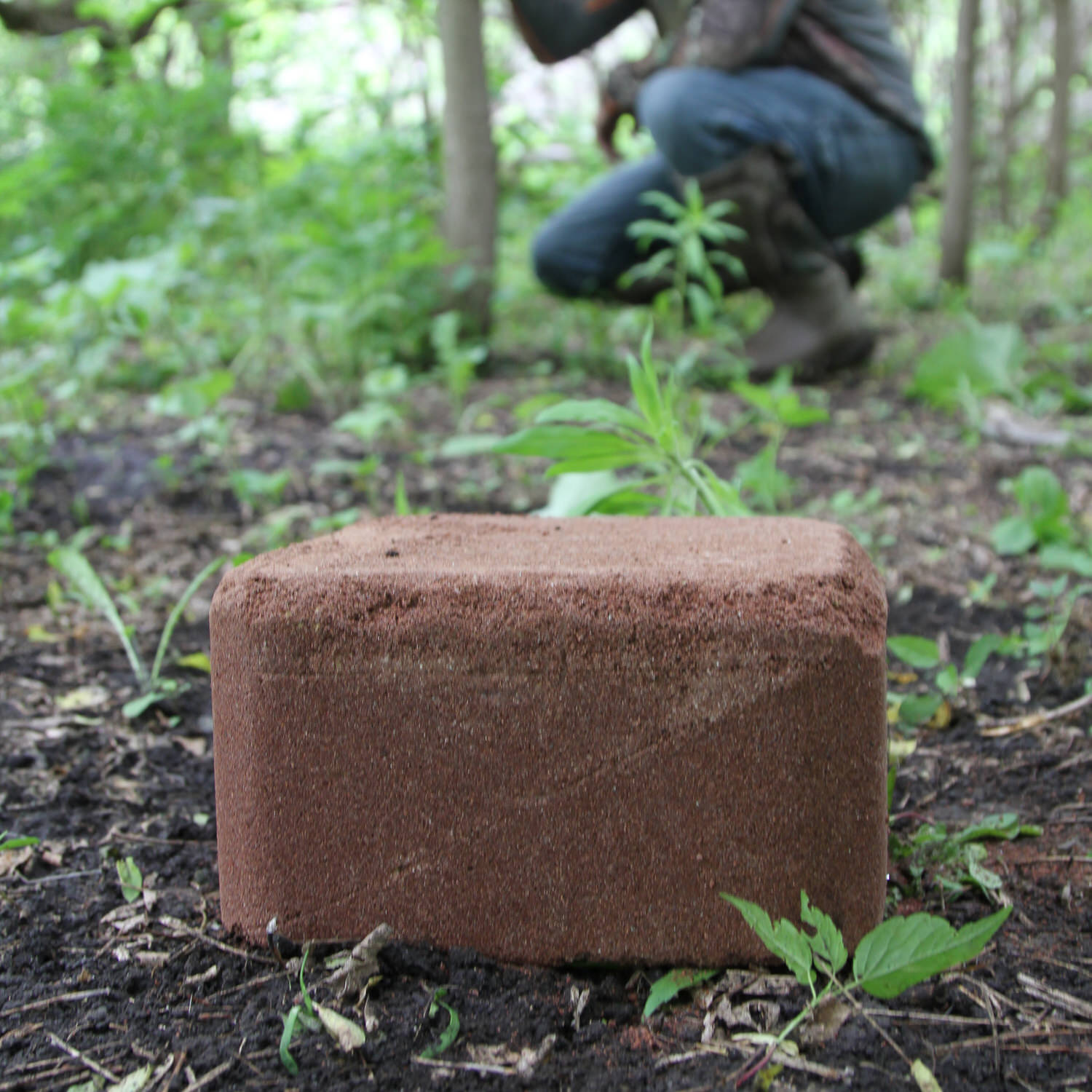 Ani-Mineral Block sitting on the ground