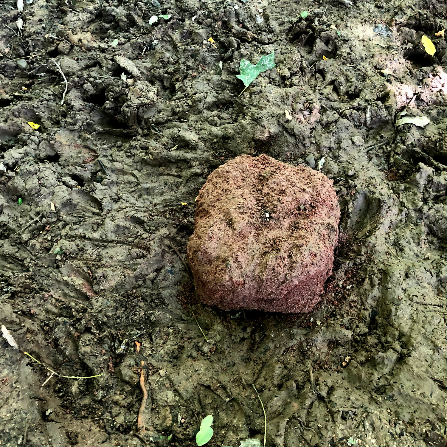 Half-gone Ani-Mineral Block on the ground