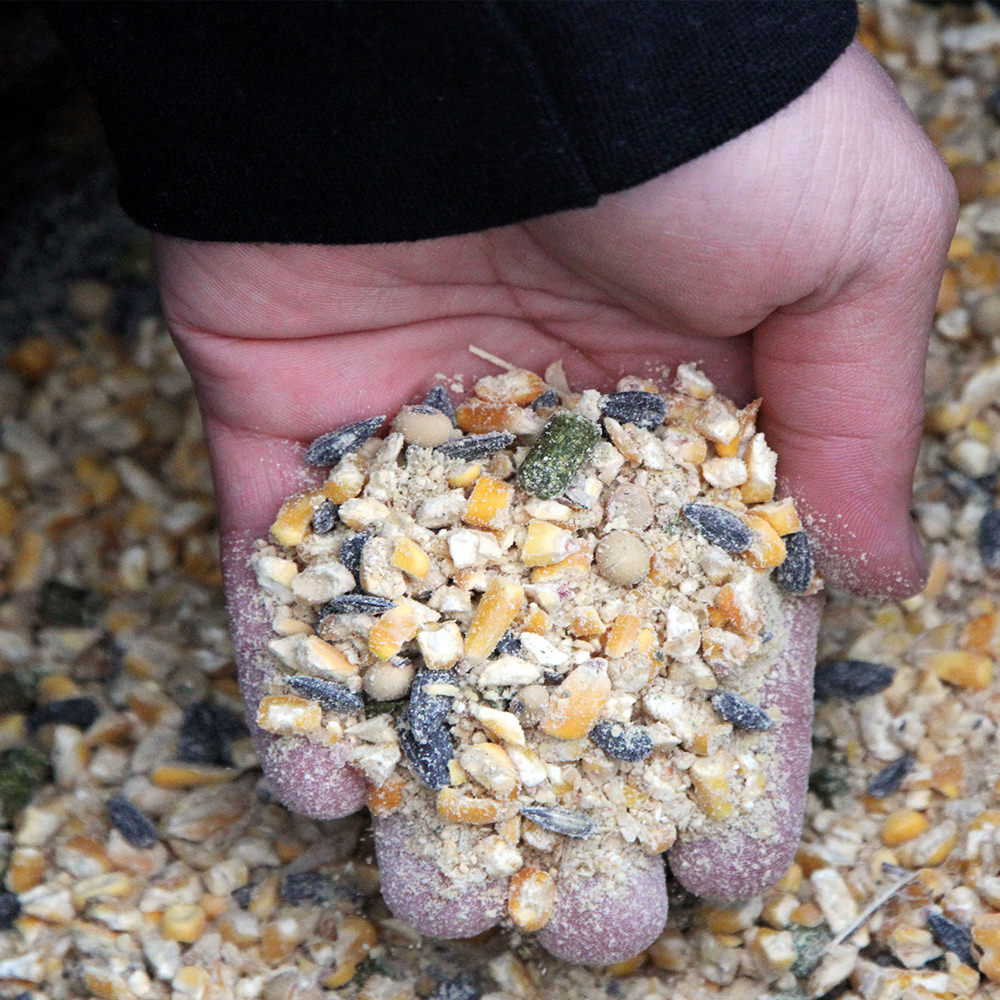 Man holding contents of Ani-Supplement Gold in his hand