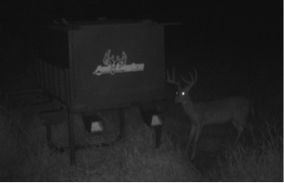 trailcamdeerfeederplots