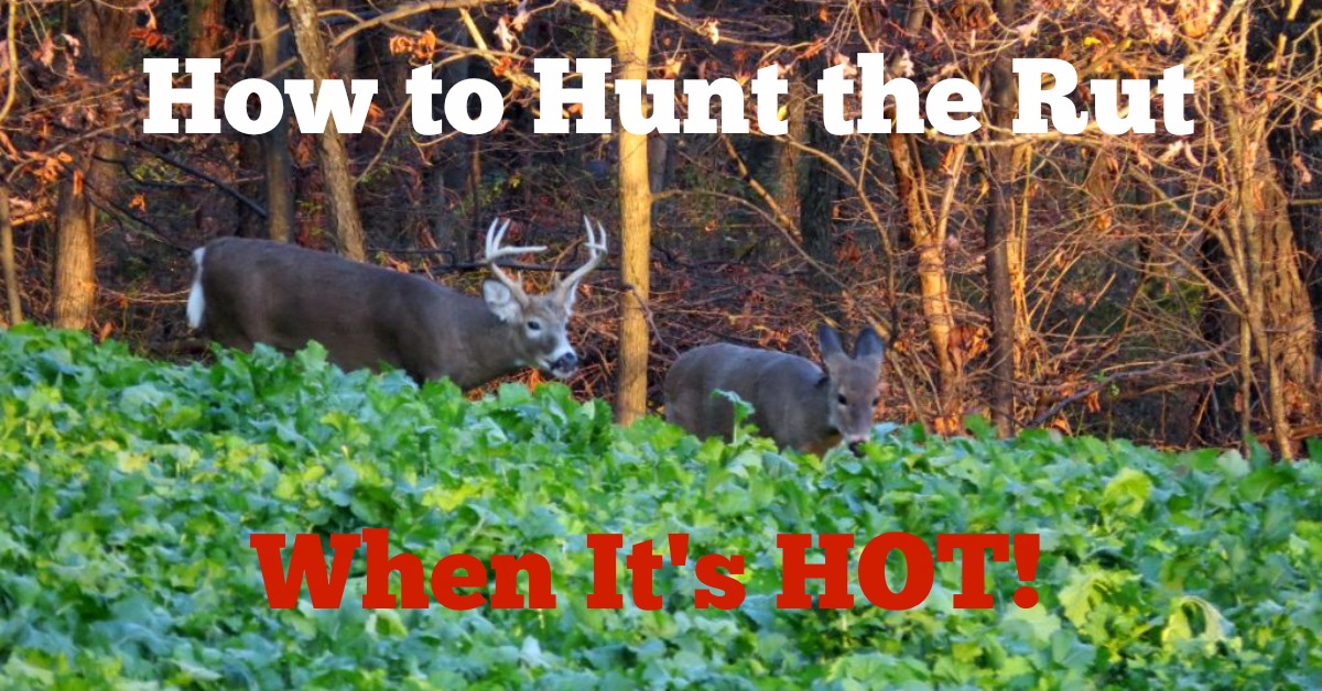 how-to-hunt-the-rut-image