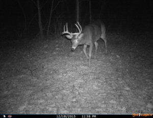 Trail Cam Survey