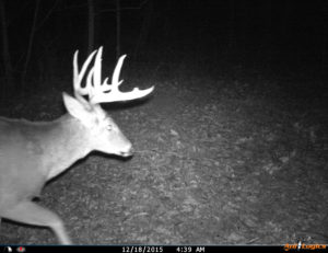 Trail Cam Survey