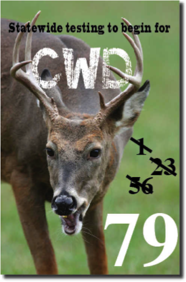 CWD