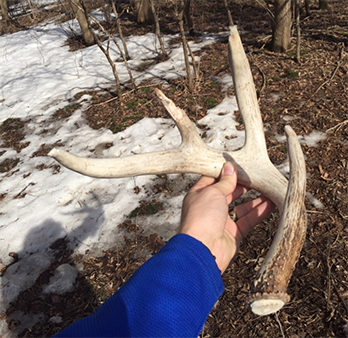 Big Sheds