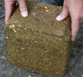 Man placing the CRUSH Acorn Block on the ground