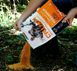 Man pouring out a bag of CRUSH Persimmon Granular Attractant onto the ground