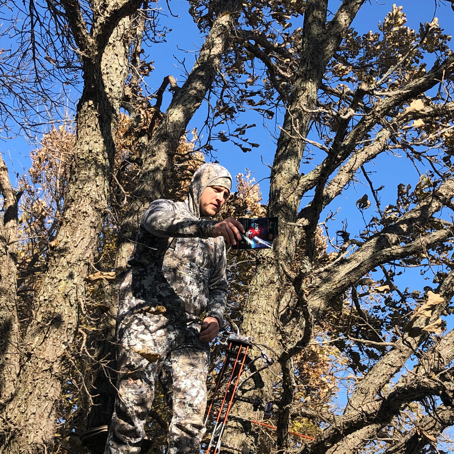 Man hunting in a tree spreading a bag of Ani-X Scent Attractant