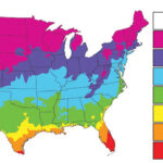 When to Plant Map-Brassica Blend