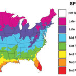 When to Plant Map-Clover