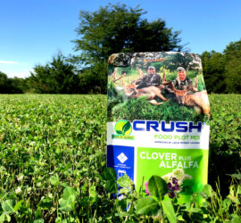 Bag of CRUSH Clover Plus Alfalfa sitting in a food plot