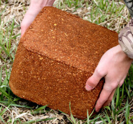 Man placing the CRUSH Apple Block on the ground