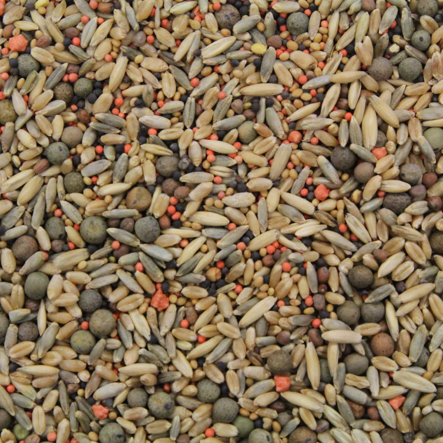 Close view of the seed blend that's in CRUSH - The Perfect 10