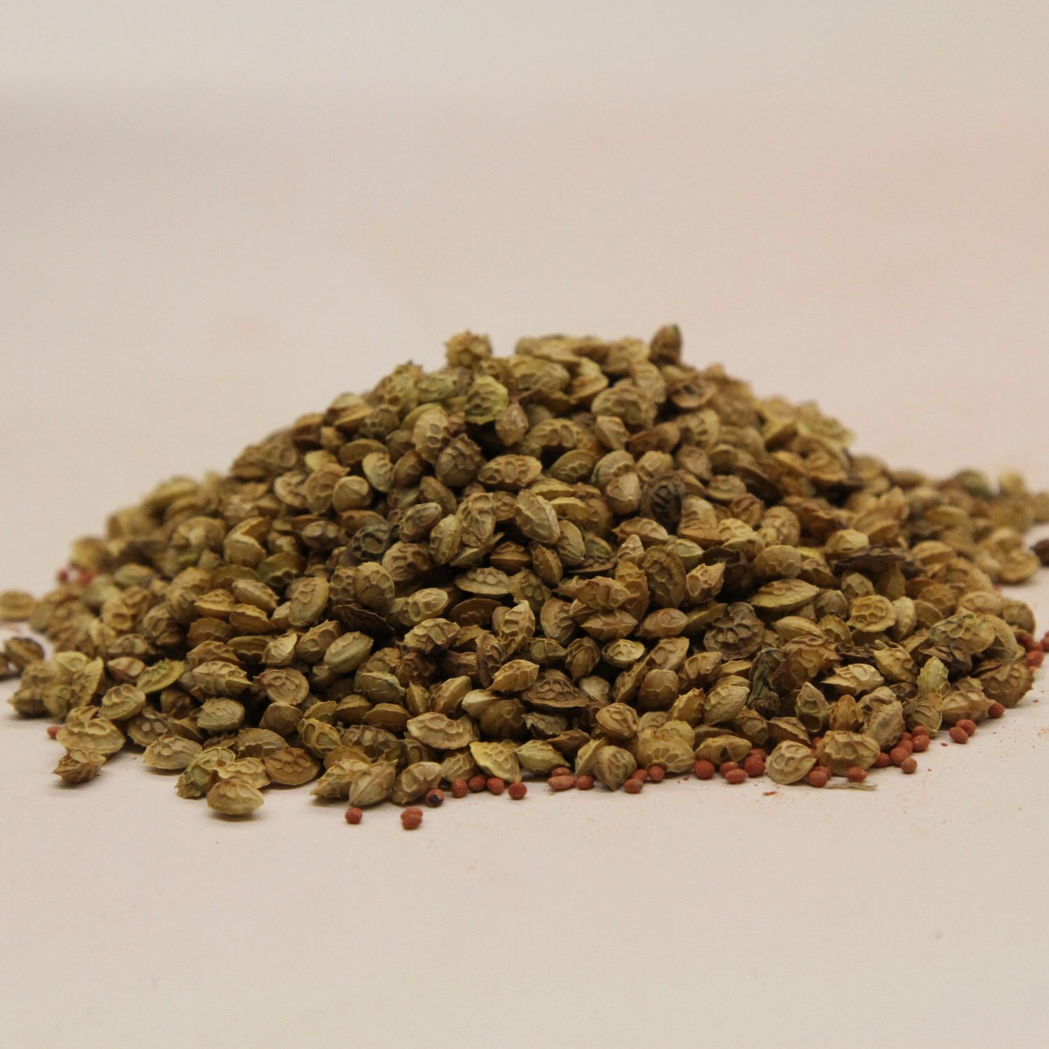 CRUSH Holy Clover seeds