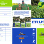 Crush Seeds of Science Soil Sample Test Brochure-1