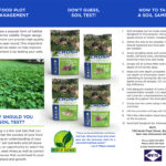 Crush Seeds of Science Soil Sample Test Brochure-2