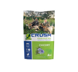 Seeds of Science Chicory 1lb