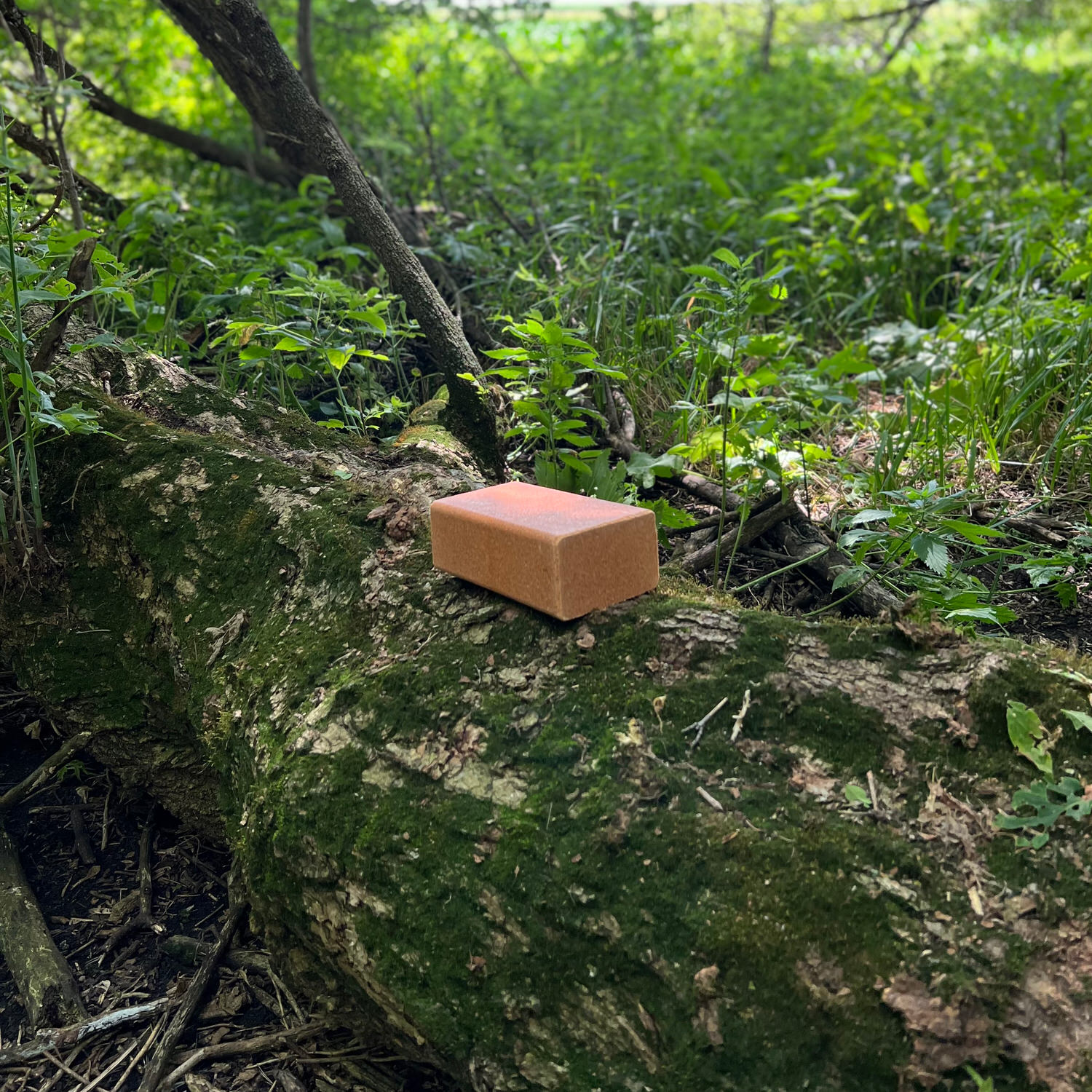 CRUSH Nature's Candy Brick sitting on a log in the woods