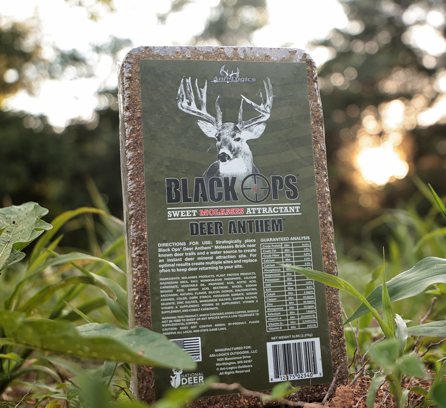 Black Ops Deer Anthem Brick on the ground