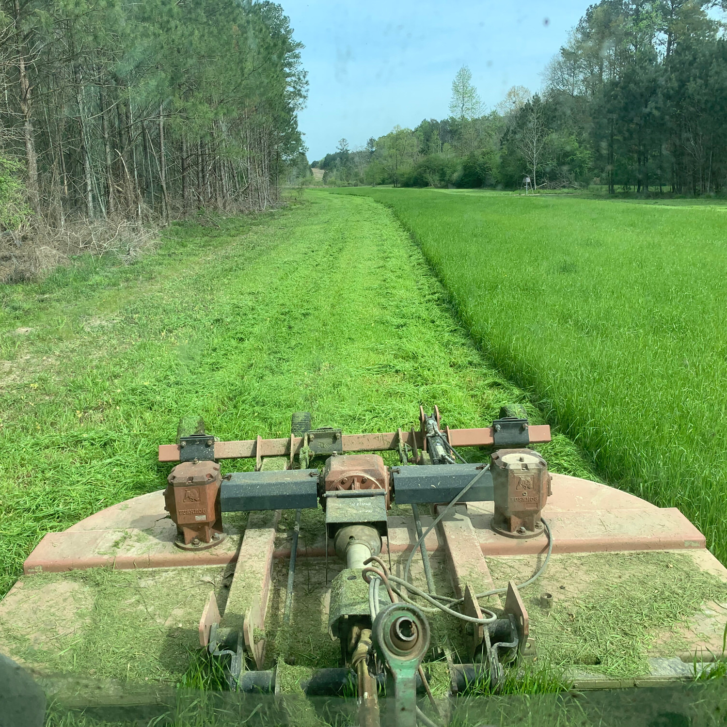 Food plot being prepared with CRUSH Amazin' Grains