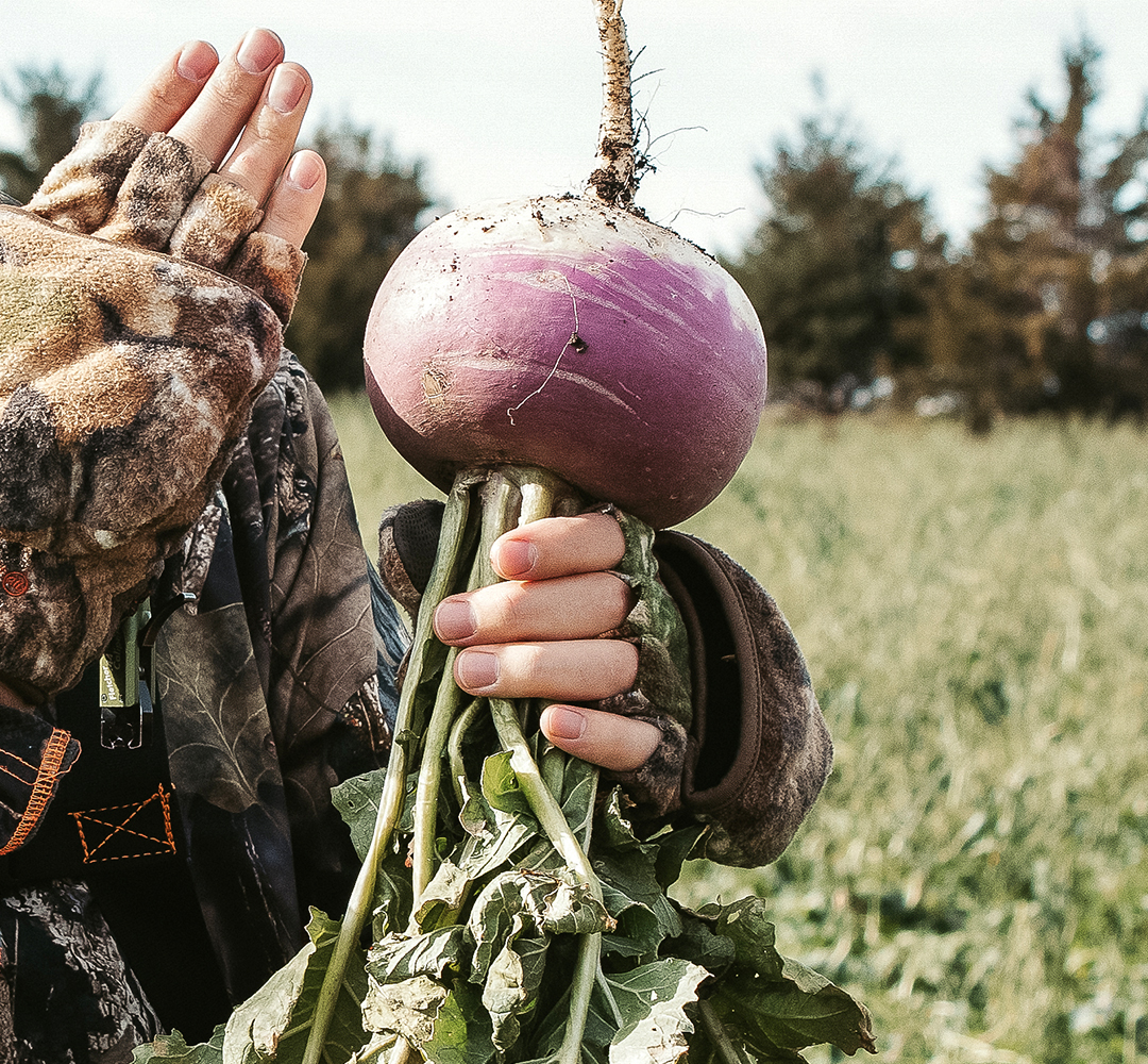 Turnips Plot