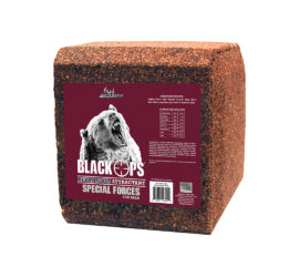 Black Ops Special Forces Bear Berry Blast Block