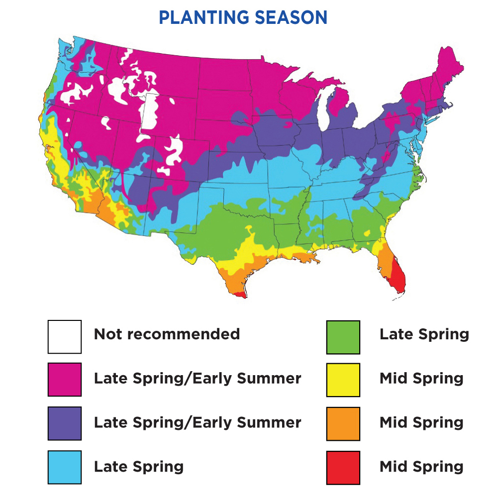 Planting Map Road Block