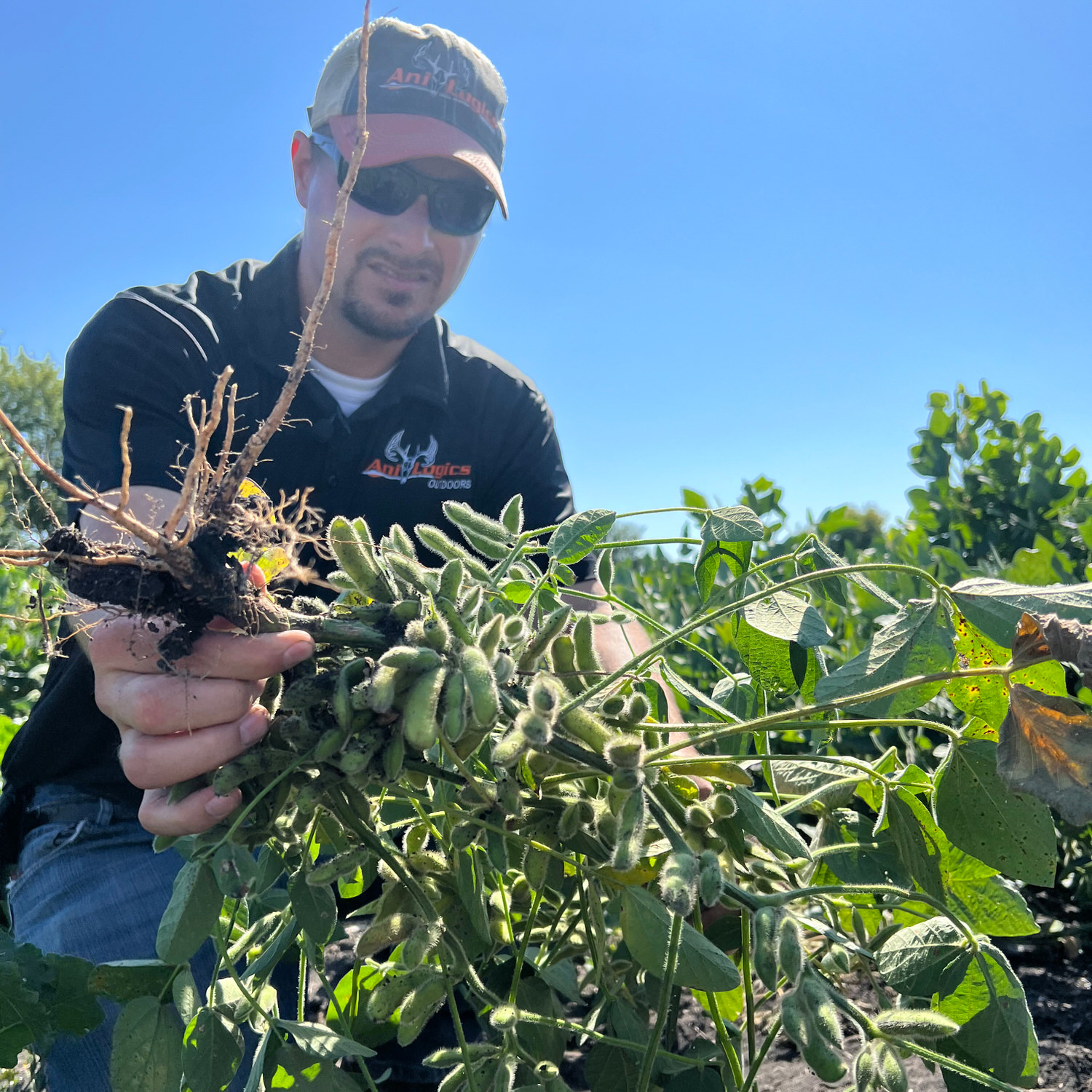 Tim Neuman holding some of the yield from the CRUSH Pro Bean Blend