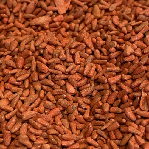 Chicory Seeds