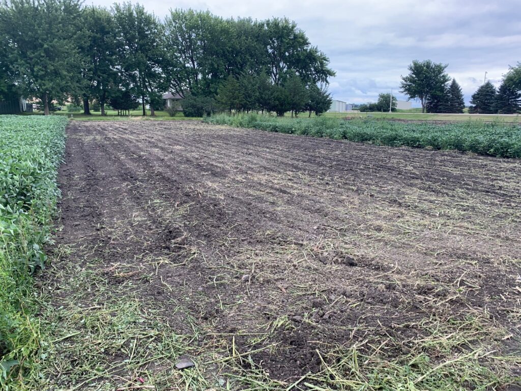 Seedbed for a food plot shown prior to planting