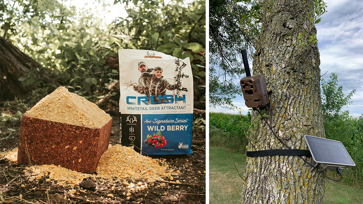 CRUSH Wild Berry Block and Granular + trail camera positioning