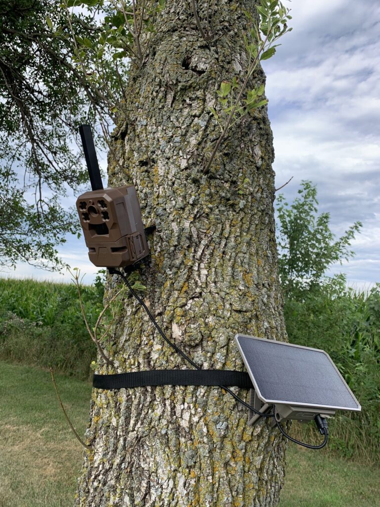 Photo showing trail camera positioning. Shown is a Moultrie Mobile trail camera with a solar panel for prolonged battery life.