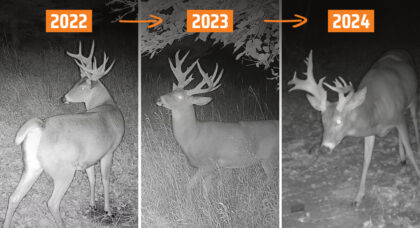 Trail camera photos of a buck over a 3-year period