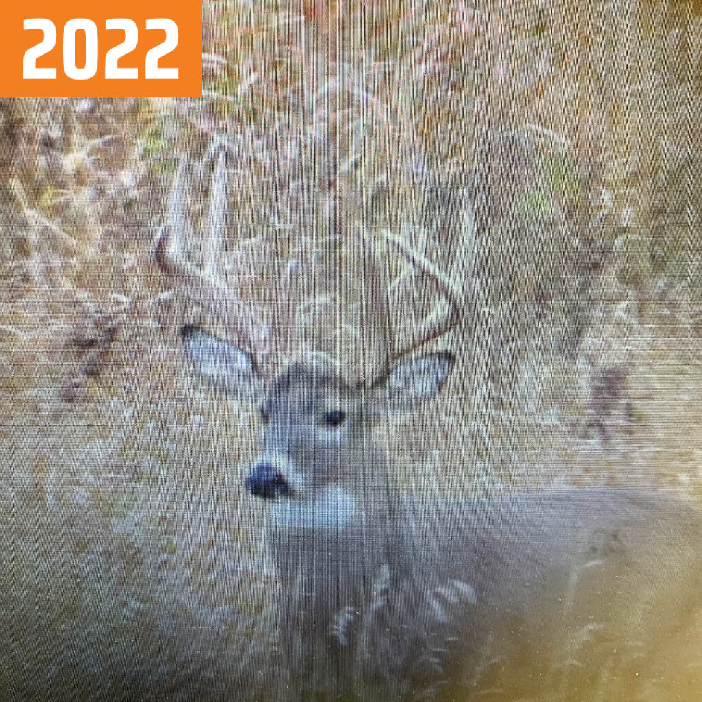 Trail camera screenshot of a buck called "Amazing Jimmy" in 2022