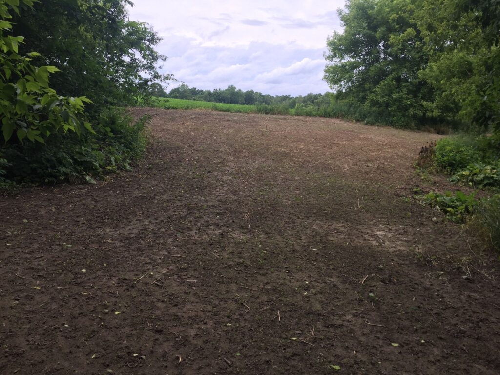 Site being prepped for a food plot